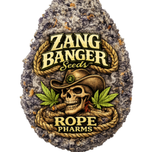 Zangbanger seeds