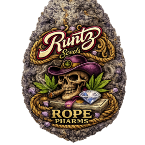 Runtz seeds