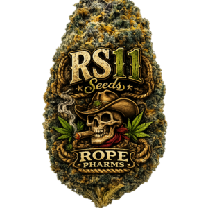 RS11 Seeds