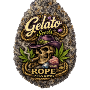 Gelato Seeds