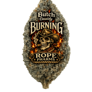 Butch Cassidy Seeds